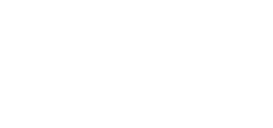 Zette Logo